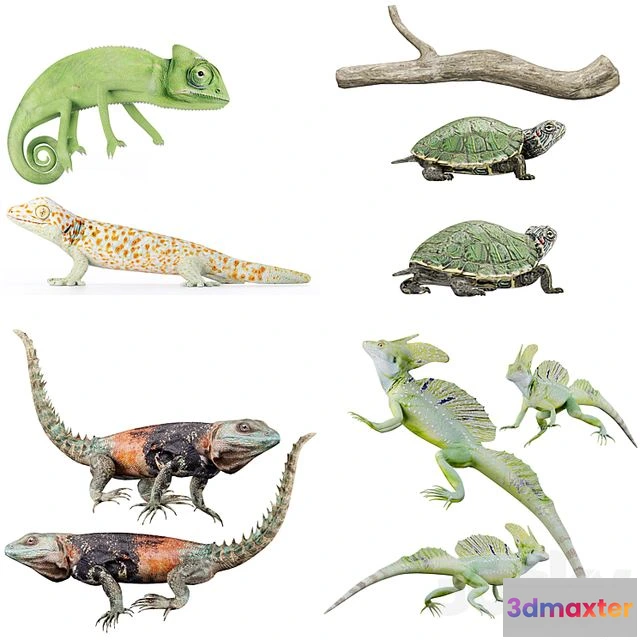 1544533 - Reptile Collection 3D Max