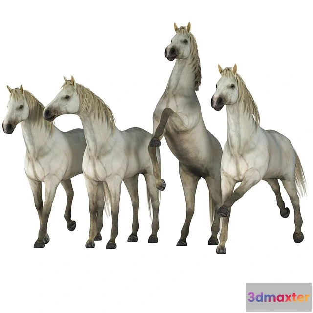 1547333 - Horse in 04 Poses 3D Max