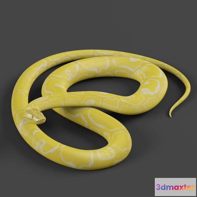 1555987 - Tiger python 3D Max