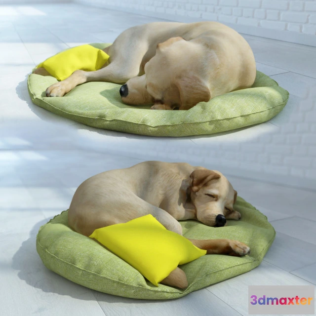 1663906 - other-models - Hound 3D Max