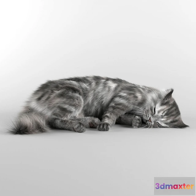 1663908 - other-models - Cat 3 3D Max