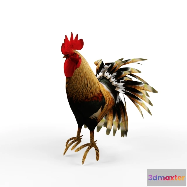 1663974 - other-models - Cock 3D Max