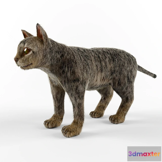 1663986 - other-models - Cat 3D Max