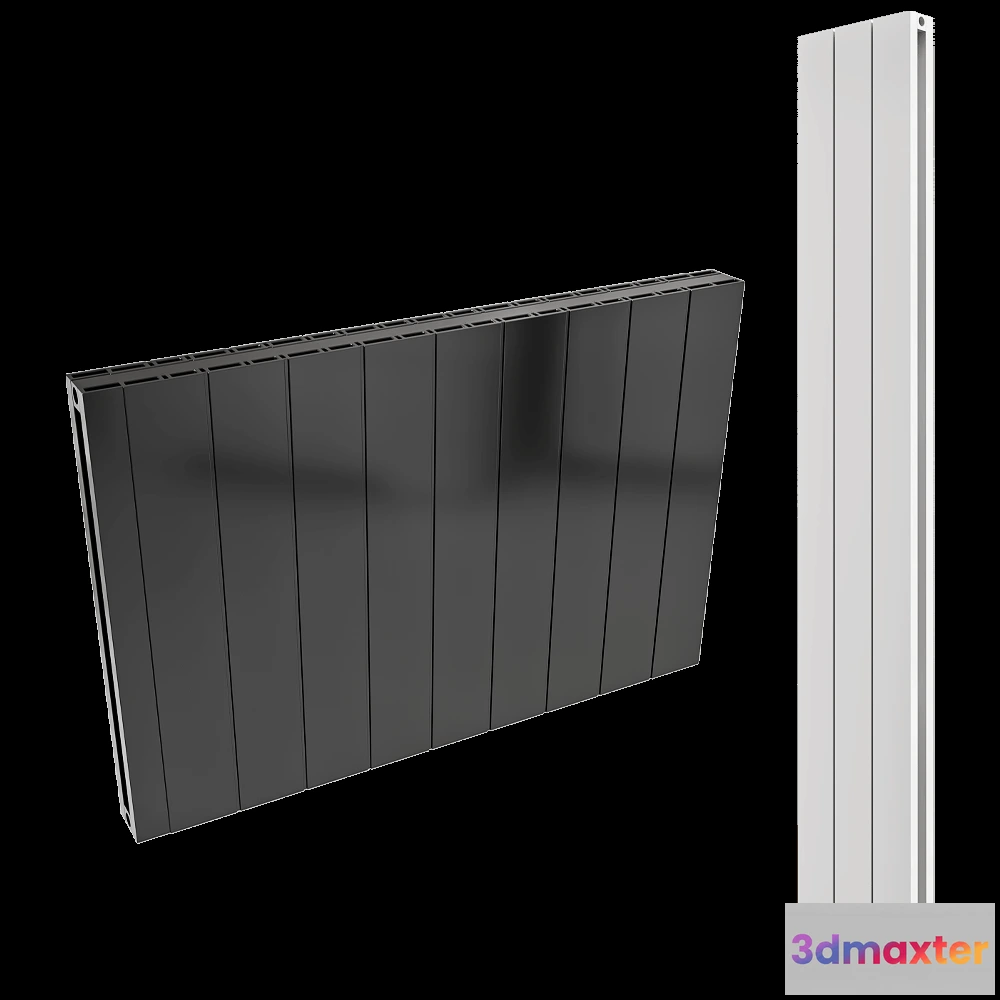 1666230 - CARISA - Radiator Nemo Double 3D Max