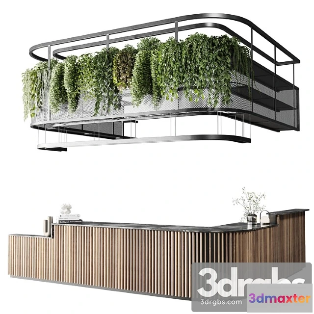 1005844 - Coffee Shop Reception Restaurant Counter by Hanging Plant 03