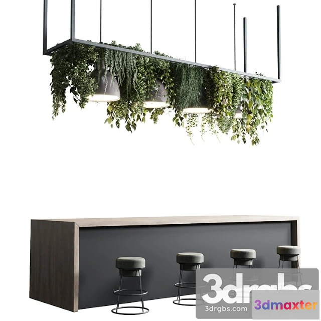 1005846 - Coffee Shop Reception Restaurant Counter by Hanging Plant 04