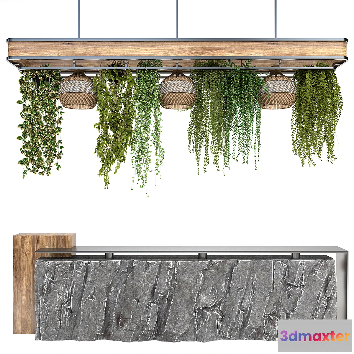 1463332 - Restaurant counter with hanging plants 3D Max