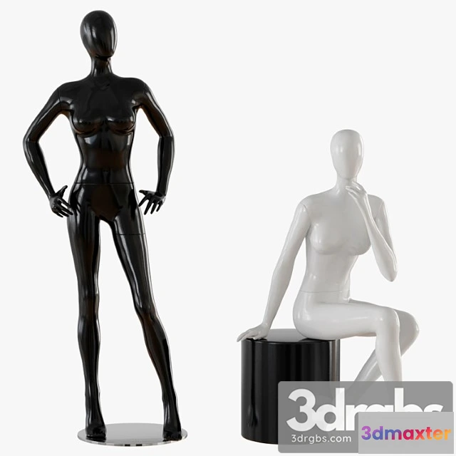 1006106 - Abstract female mannequin