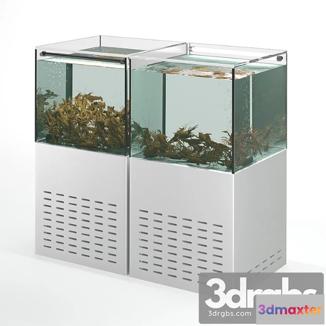 1057700 - Crayfish aquarium