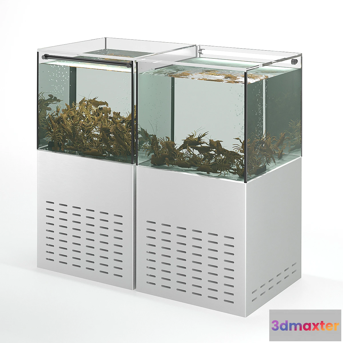 755439 - Crayfish aquarium