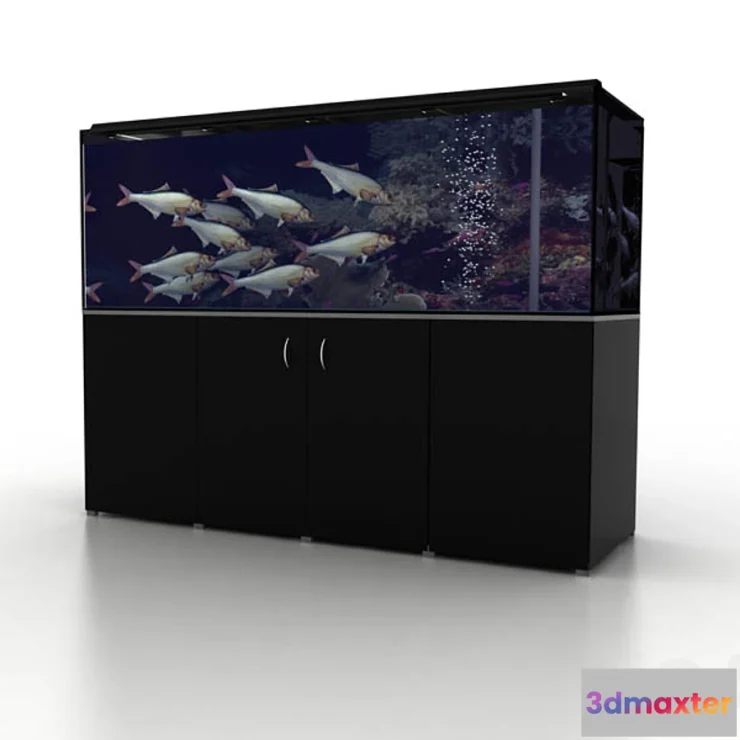 810054 - Aquarium - No.26