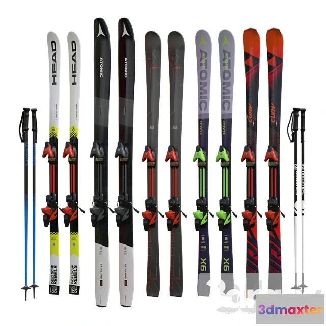 1006574 - Alpine skiing and sticks