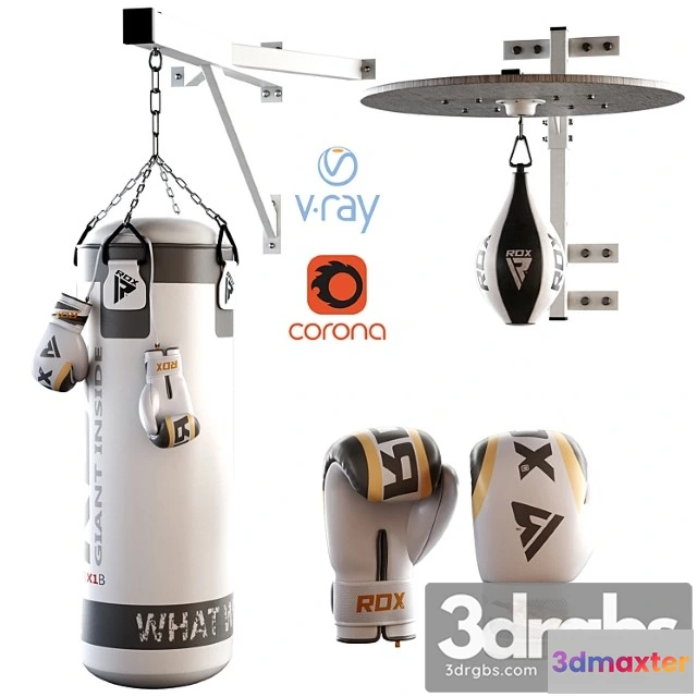 1006848 - Set Punching Bag and Gloves From Rox 2