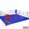 1290851 - Boxing ring 3D Max