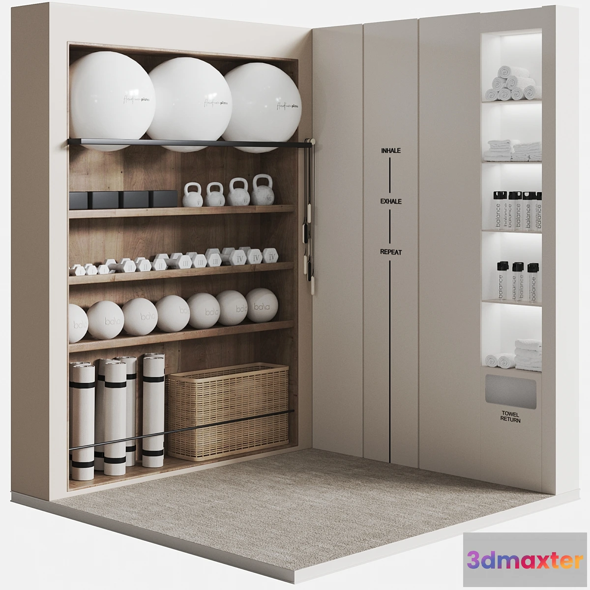 1411872 - Minimal Gym Rack 3D Max