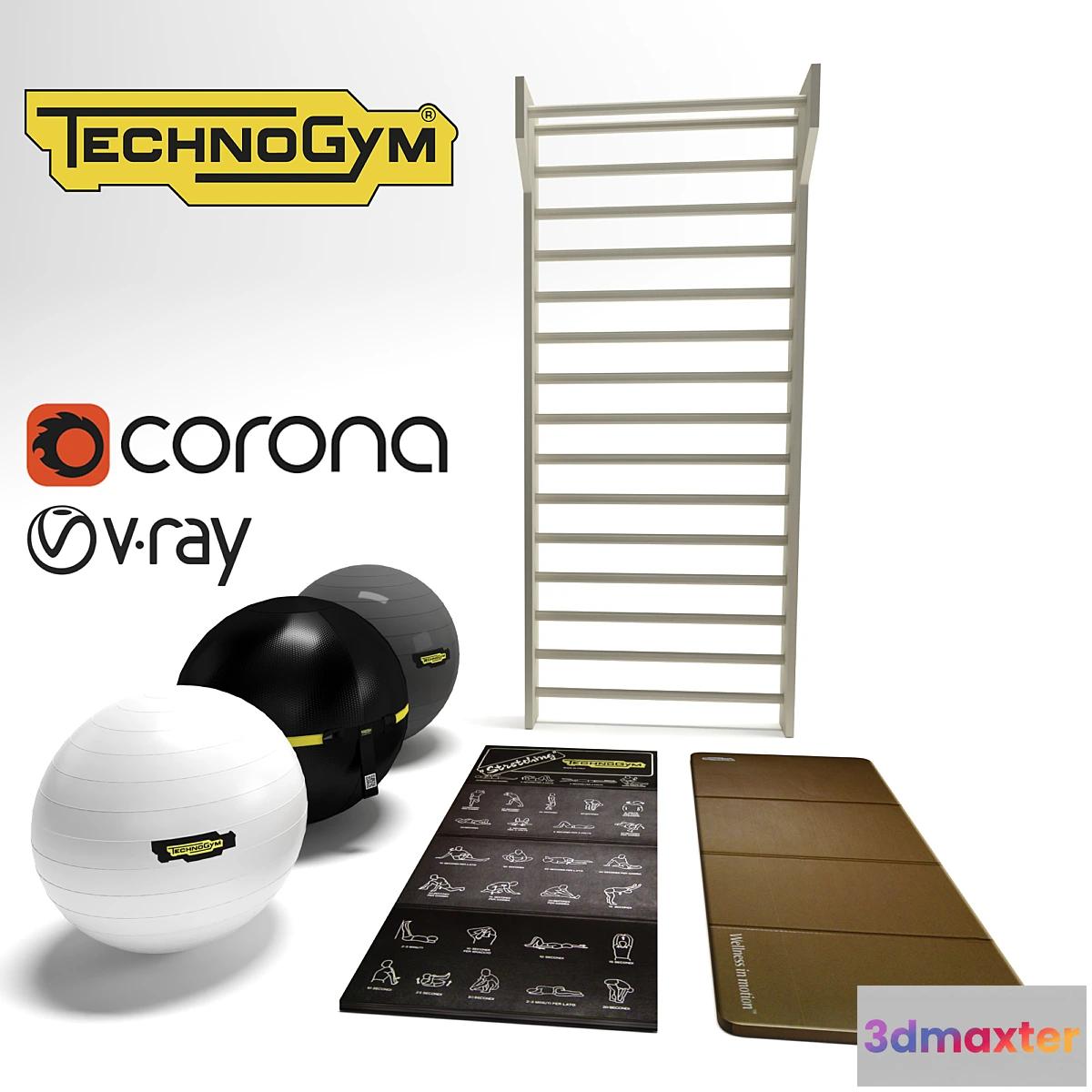 1447556 - Technogym Tools 3D Max