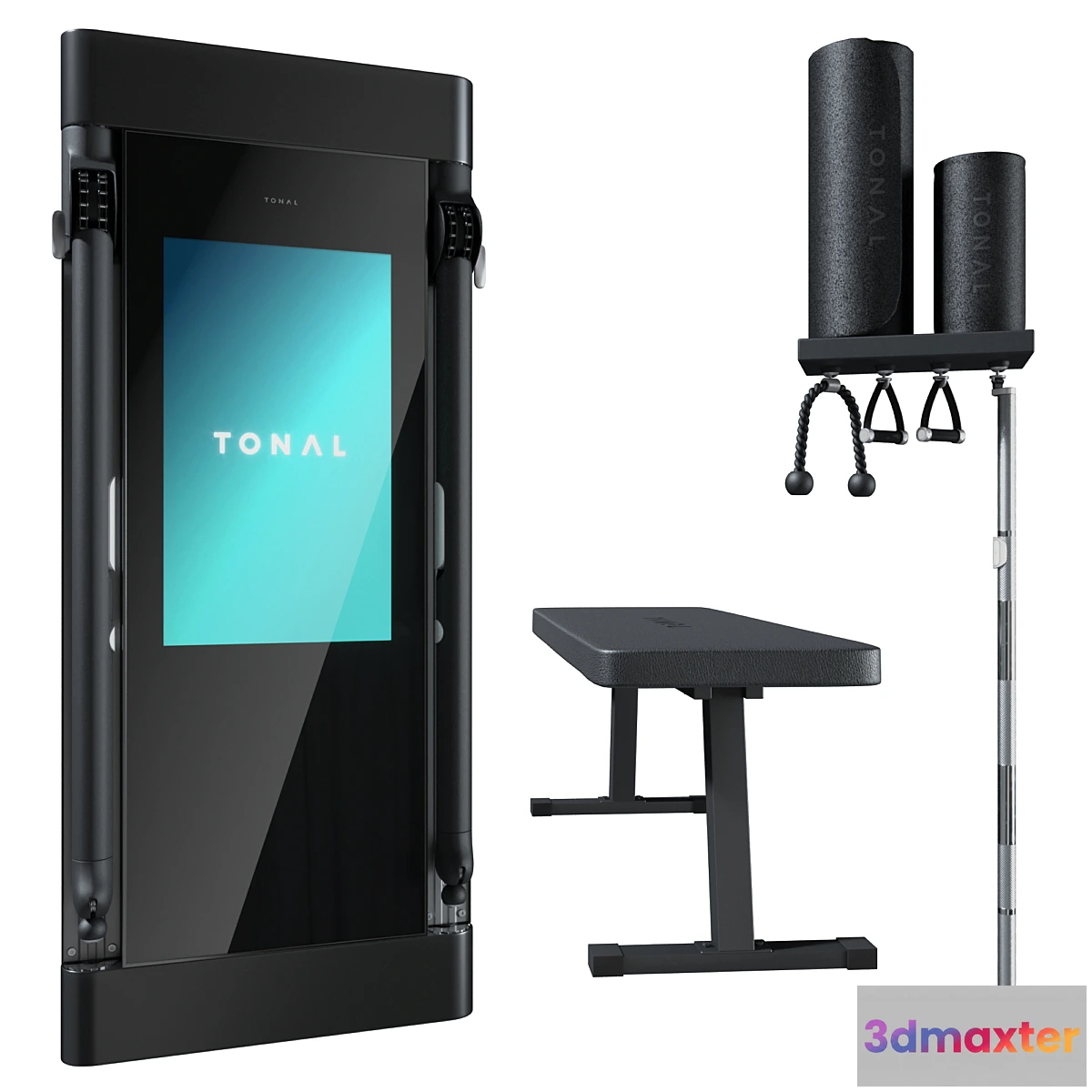 1448360 - TONAL GYM 3D Max