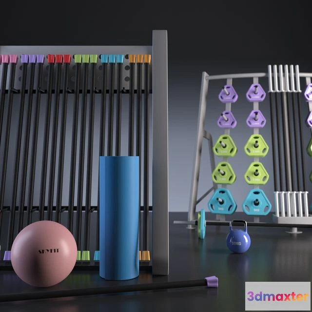 1559405 - Fitness accessories 3D Max