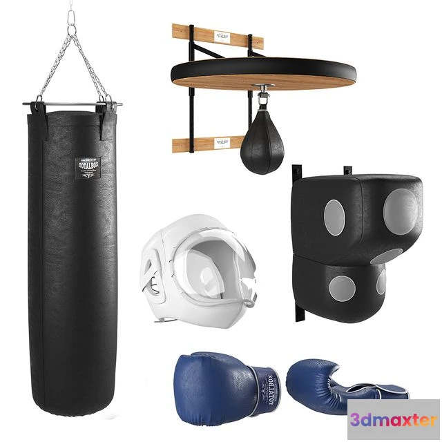 1569462 - Boxing gym equipment 3D Max