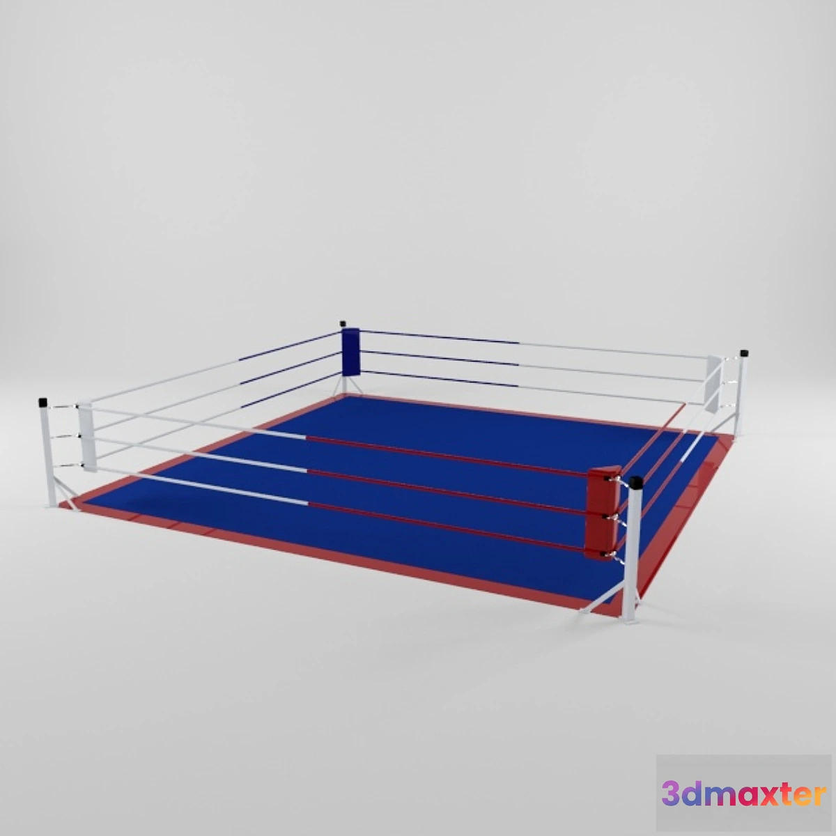 809908 - ring sports