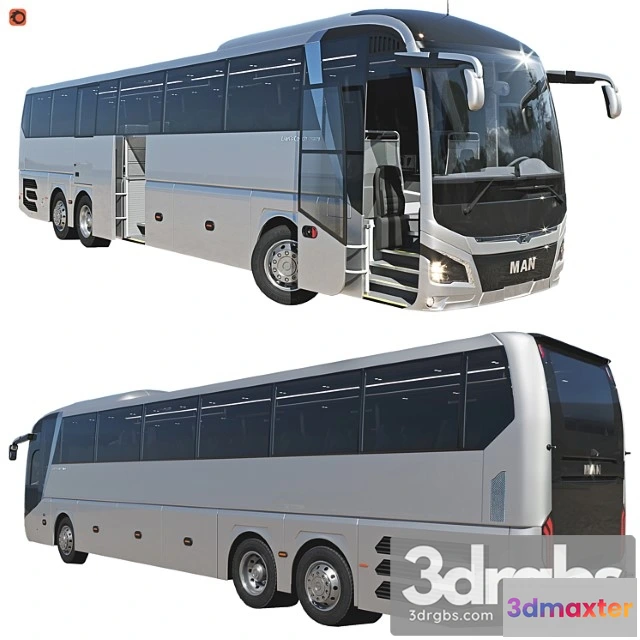 1007928 - Lions Coach Efficient Line Silver