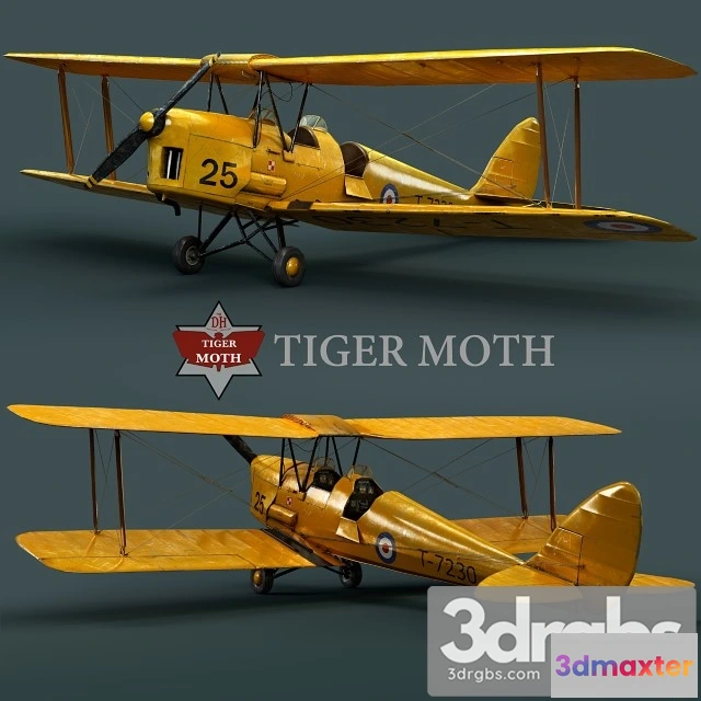 1008280 - Tiger Moth