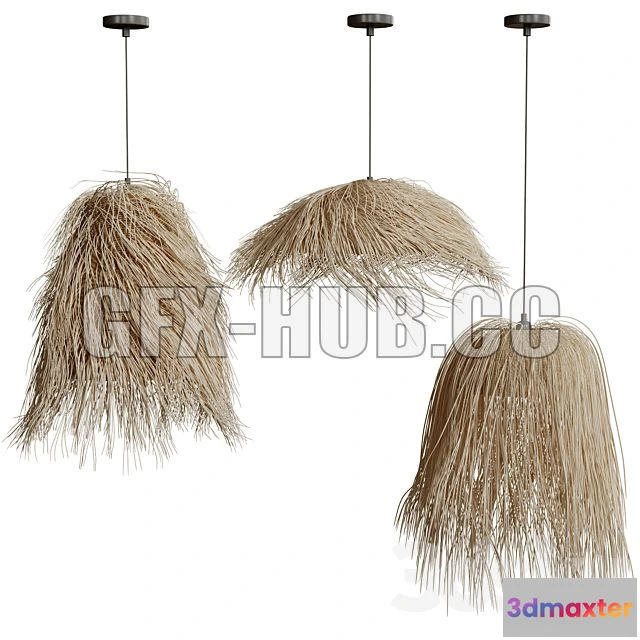 1208188 - CAR - Moroccan Wicker Leaf Pendant Light 3D Model