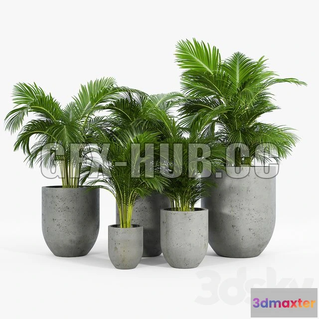 1208206 - CAR - Neo Planter 3D Model
