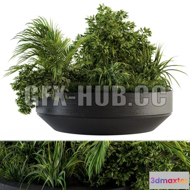 1208440 - CAR - Outdoor Plants Tree in Concrete Pot Set 144 3D Model