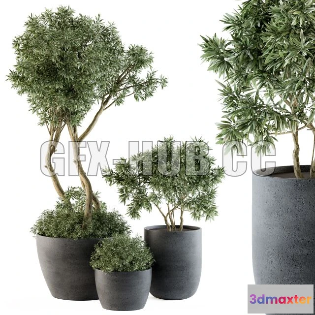 1208442 - CAR - Outdoor Plants Tree in Pot Set 90 3D Model
