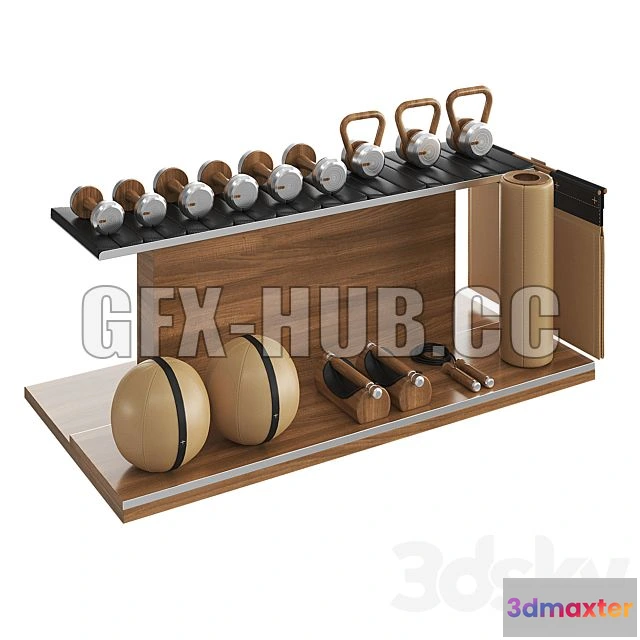 1208502 - CAR - PENT Luxury Fitness Equipment Part 2 3D Model