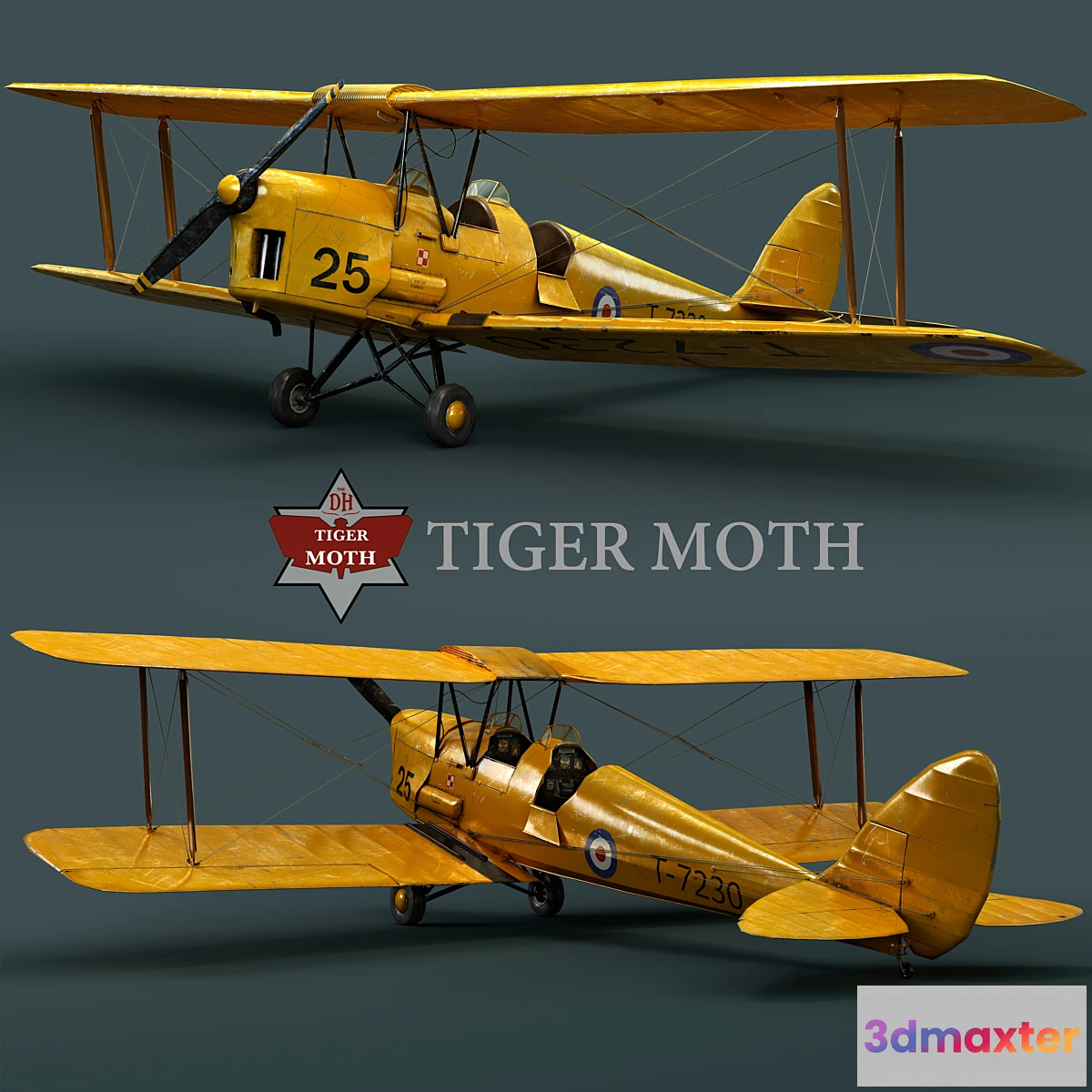 1289732 - Tiger moth 3D Max