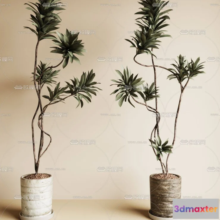1161198 - WABI SABI STYLE 3D MODELS - PLANTS - 0004