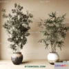 1161200 - WABI SABI STYLE 3D MODELS - PLANTS - 0005