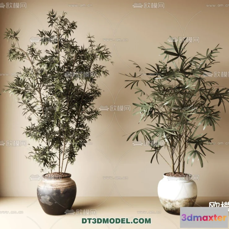 1161200 - WABI SABI STYLE 3D MODELS - PLANTS - 0005