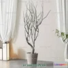 1161204 - WABI SABI STYLE 3D MODELS - PLANTS - 0007