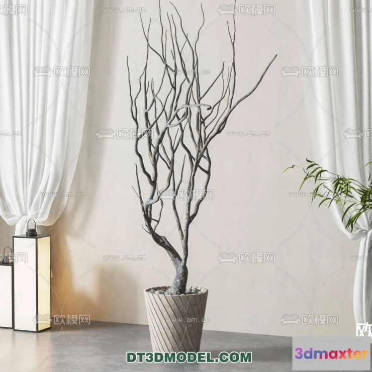 1161204 - WABI SABI STYLE 3D MODELS - PLANTS - 0007