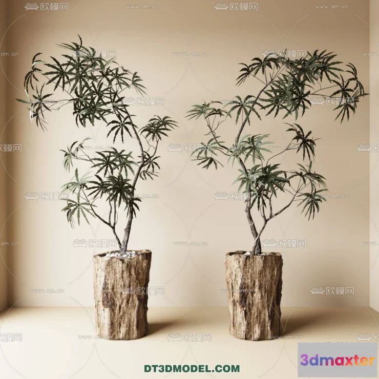 1161206 - WABI SABI STYLE 3D MODELS - PLANTS - 0008