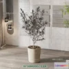 1161208 - WABI SABI STYLE 3D MODELS - PLANTS - 0009