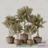 1161210 - WABI SABI STYLE 3D MODELS - PLANTS - 0010