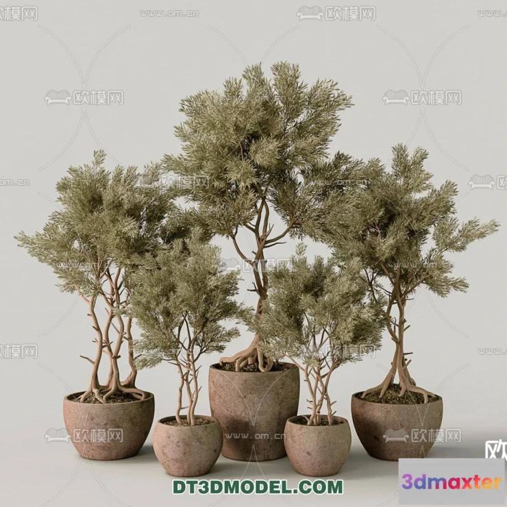 1161210 - WABI SABI STYLE 3D MODELS - PLANTS - 0010