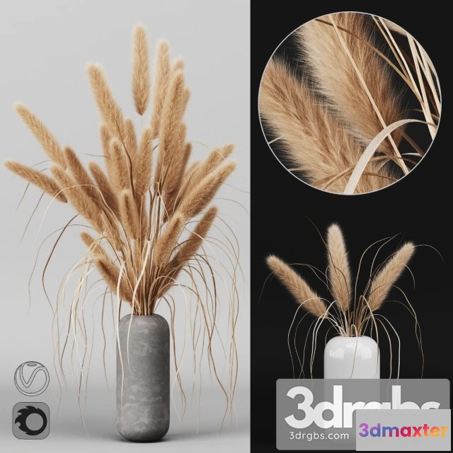 1008918 - A Bunch of Pampas 2