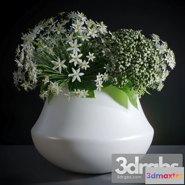 1008930 - Allium Neapolitanum Bouquet