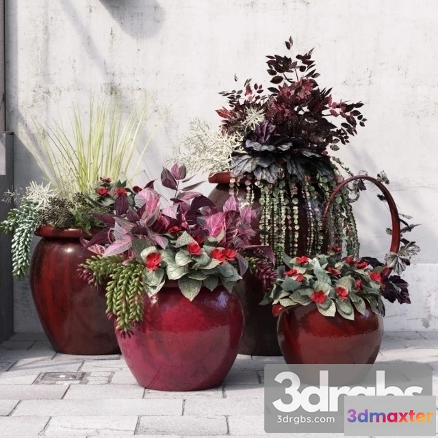 1008942 - August Bouquet