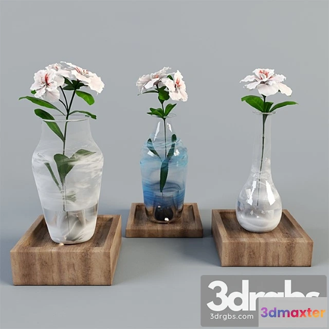 1008950 - Azalea Vazes