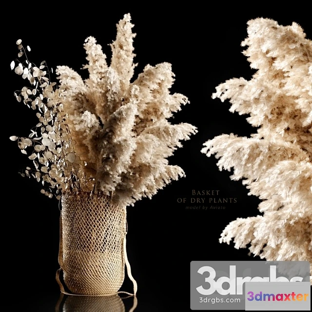 1008952 - Basket Of Dry Plants