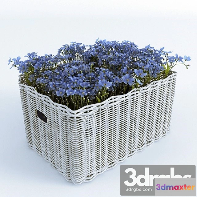 1008954 - Basket With Forget Me Nots