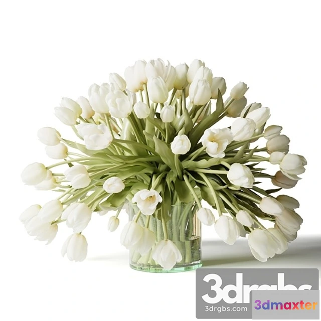 1008964 - Belye Tiulpany V Vaze Buket Tsvetov