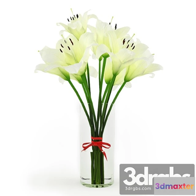 1008966 - Bielyie Lilii