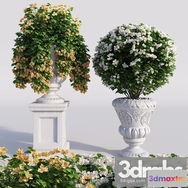 1008980 - Bougainvillea Planter Set 1